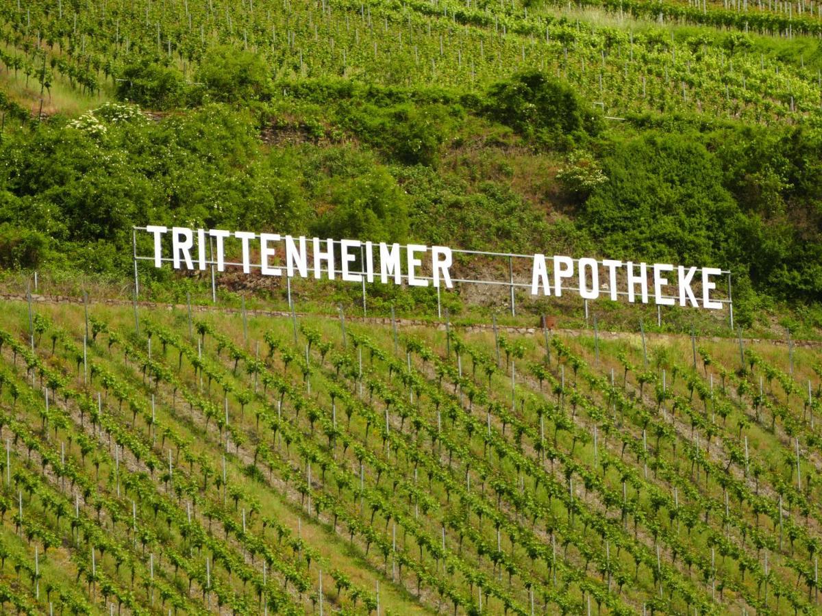 Luiza Fewo Trittenheim Kültér fotó